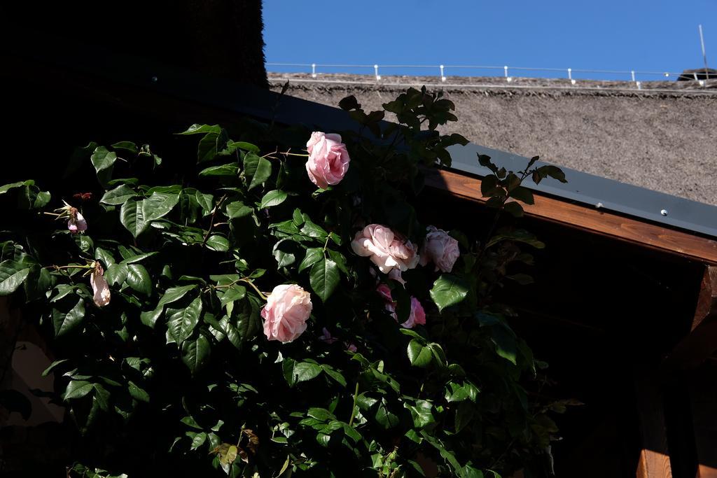 Cselling Udvarház Révfülöp Exterior foto